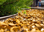 The Benefits of Decorative Chippings
