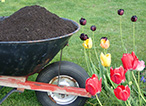 How to Use Topsoil for Winter