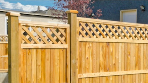Buy Timber Fence Posts