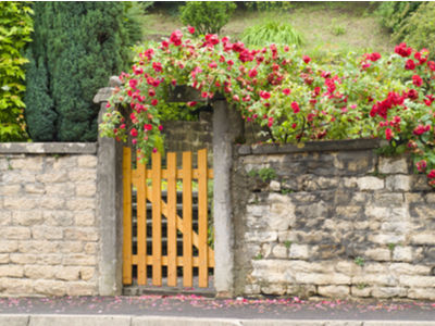 How To Care For Your Timber Gate