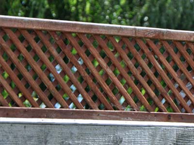 How to Install Trellis to a Fence or Wall