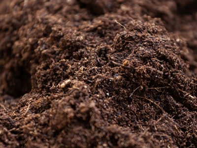 A Beginner’s Guide to Topsoil