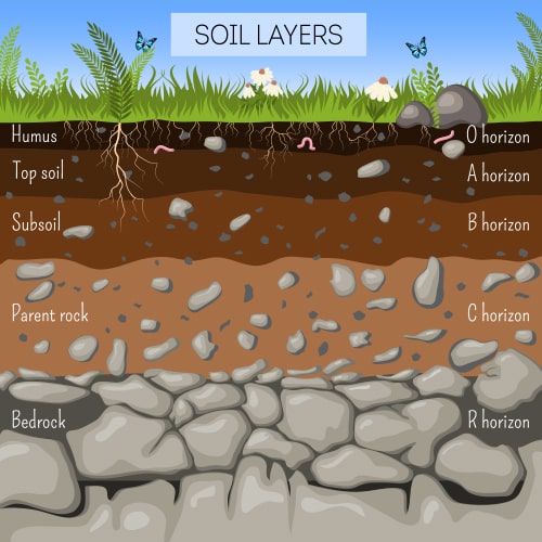 Stadion fiktiv Hjemland A Beginner's Guide to Topsoil | Lawsons