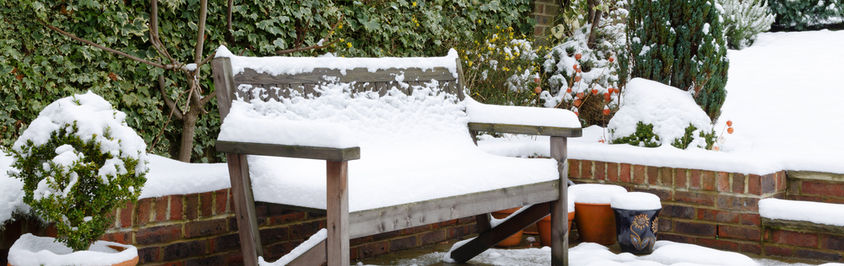 How To Look After Your Garden In Winter
