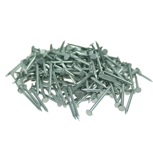 100mm 500g Box Galv Round Wire Nails