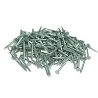 100mm 500g Box Galv Round Wire Nails