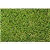 Forte Wisdom 40mm Artificial Grass Sold Per 4m Strip