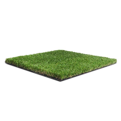 Namgrass Eclipse