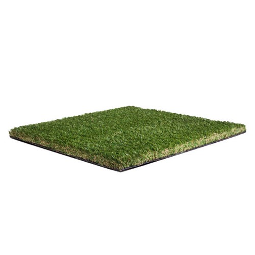 Namgrass Elise
