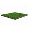 Namgrass Vision