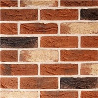 Pack Of 730 TBS Traditional Red Blend 65mm Bricks