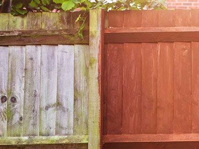 What Colour Should I Paint my Fence or Shed?