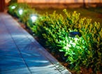 3 Garden Tips from the Pros