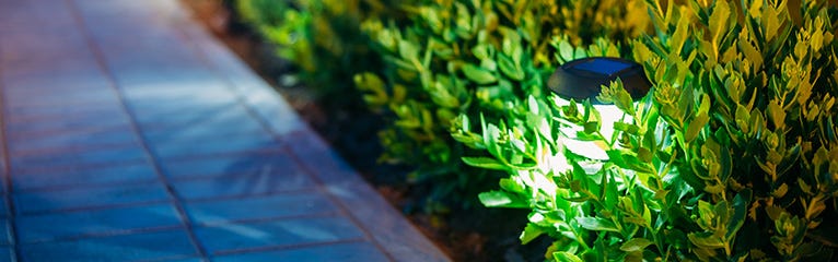 3 Garden Tips from the Pros