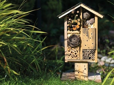3 Ways to Encourage Wildlife to Your Garden