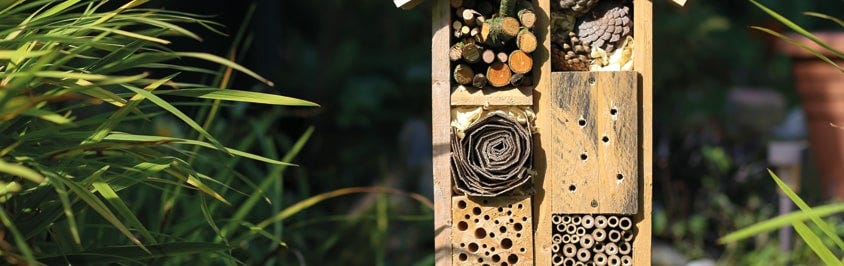 3 Ways to Encourage Wildlife to Your Garden