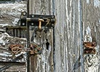 4 Signs You Need to Replace Your Garden Shed