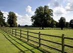 Choosing the Right Agricultural Fencing