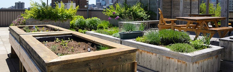 Raise Your Gardening Game with Planters