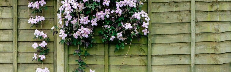 4 Top Tips for Refreshing Your Fence This Summer