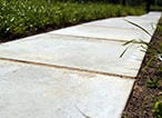 Garden Path and Patio Ideas