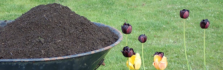 How to Use Topsoil for Winter