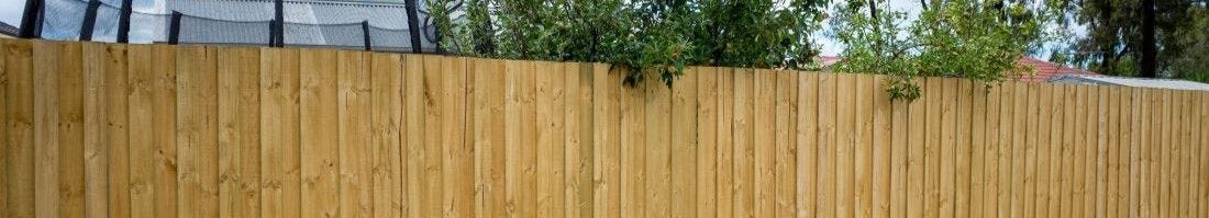 ​What's the Difference Between Green and Brown Timber?