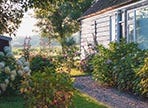 Making Space for Adult Kids at Home