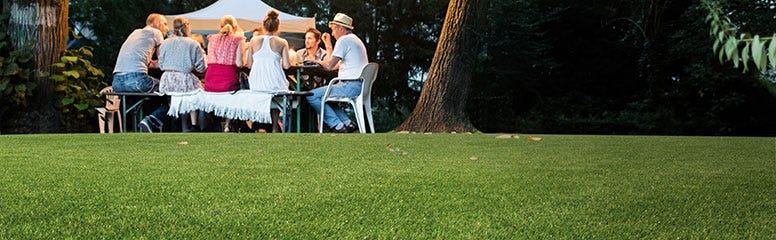 How to Transform Your Garden with Namgrass