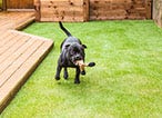 Why You Should Install Artificial Grass This Autumn