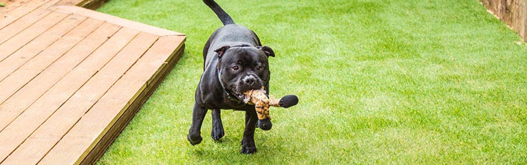 Why You Should Install Artificial Grass This Autumn