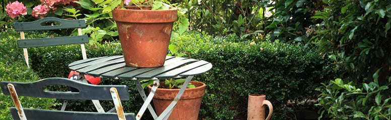 City Gardens: Making the Most of Your Space