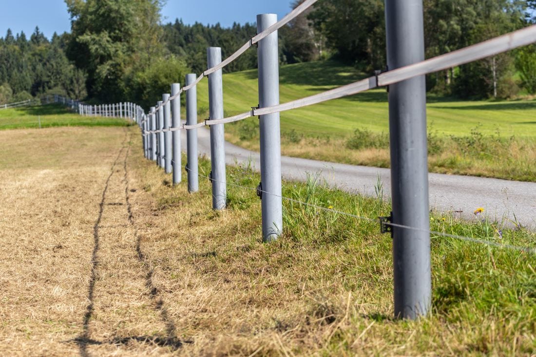 A Guide to Electric Fencing