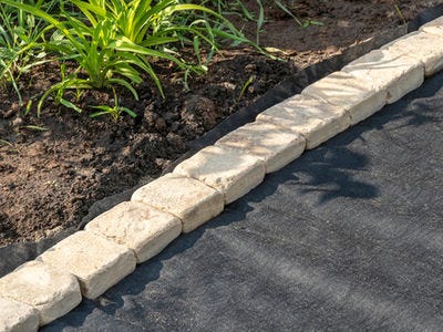 Garden Edging Ideas