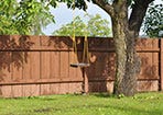 Fencing and the Law - Know Your Rights Before Choosing New Fencing
