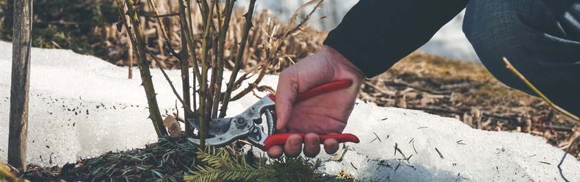 Gardening Jobs for the Winter - Our Top Jobs
