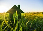 How to Make Your Home More Eco-Friendly (Without Breaking the Bank)