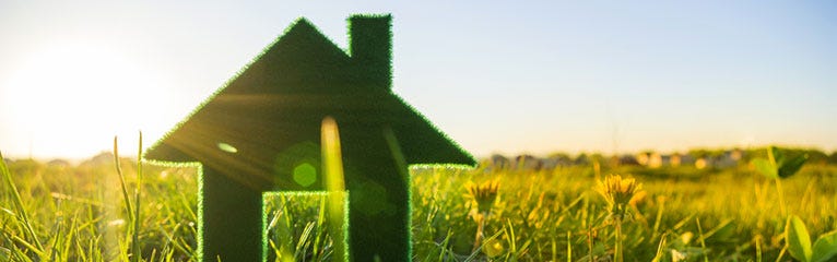How to Make Your Home More Eco-Friendly (Without Breaking the Bank)