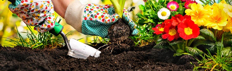 How to Improve Your Garden Soil
