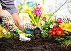 How to Improve Your Garden Soil