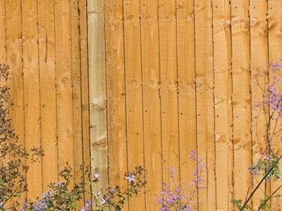 A Guide to Closeboard Fencing