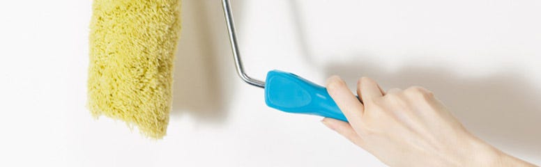 How to Choose the Perfect Decorating Roller