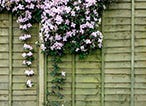 4 Top Tips for Refreshing Your Fence This Summer