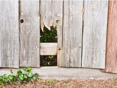 Signs That It Is Time To Install A New Wooden Fence