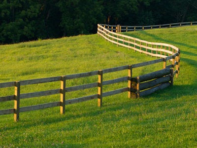Your Guide To Specialist Fencing
