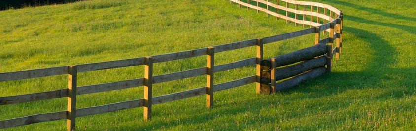 Your Guide To Specialist Fencing
