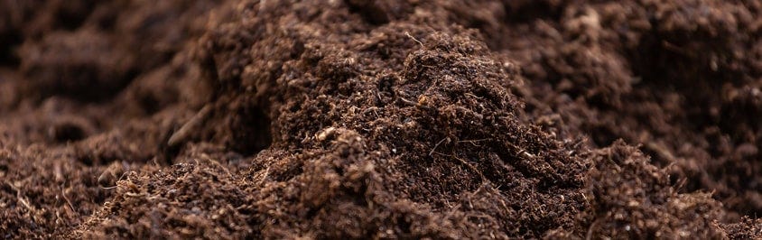 A Beginner’s Guide to Topsoil