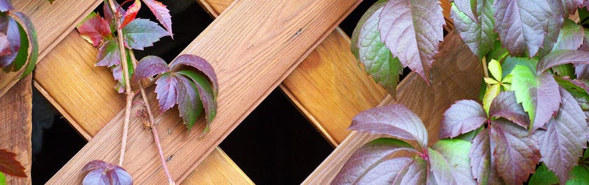 Enhance Your Garden With Trellis Panels