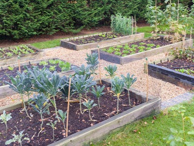 Why Create A Raised Sleeper Bed