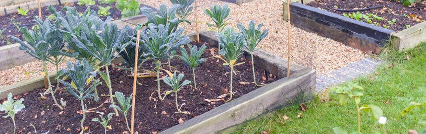 Why Create A Raised Sleeper Bed